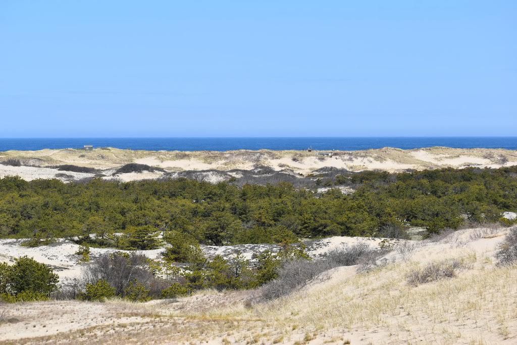 Cape Cod Hikes: Dune Shack Trail